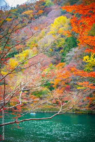 Arashiyama forest view in the Autumn along Katsura river. Kyoto, Japan.