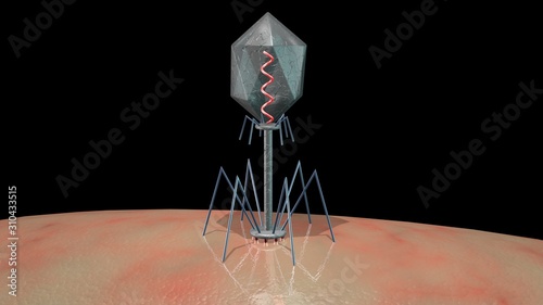 Phage therapy , Bacteriophage virus landing on bacteria . Injecting DNA. 3d rendering illustration