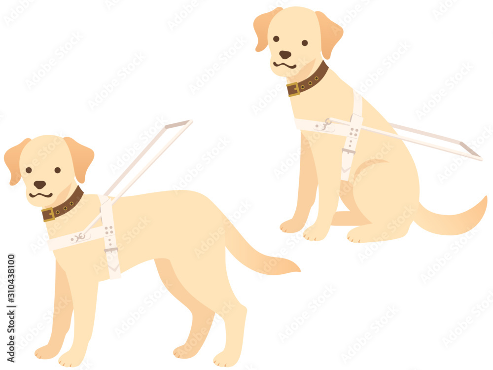 盲導犬のイラストセット お座り 立つ Stock Vector Adobe Stock