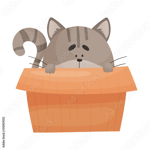 Cat Peeped Out From Cardboard Box Vector Illustration