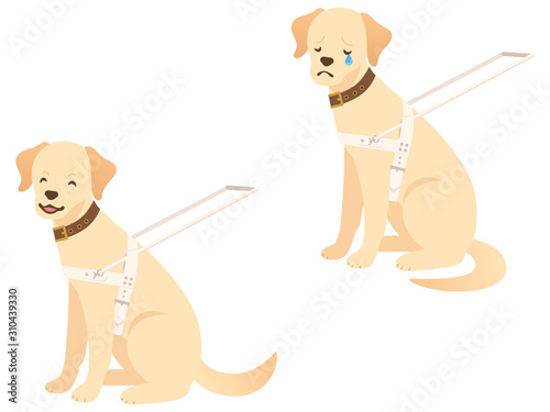 盲導犬のイラストセット 笑顔と悲しむ表情 Stock Vector Adobe Stock
