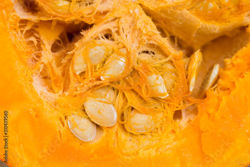 Detailed macro shot of a fresh pumpkin cut in half with clearly visible seeds and fibers - for abstract  background