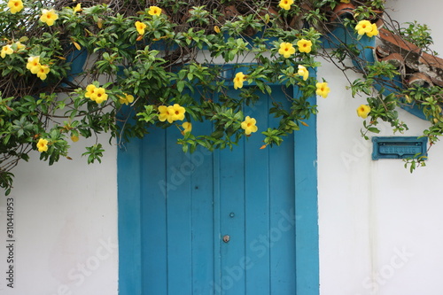 wooden fence with flowers © matheus