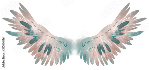 Beautiful watercolor light creamy turquose wings photo