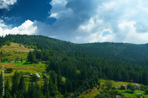 beautiful summer landscape, spruces on hills, cloudy sky and wildflowers - travel destination scenic, carpathian mountains © soleg