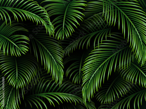 Tropical palm leaves background. Exotic dark green template for greetings  invitation  cosmetics or spa products  summer seasonal cards. Vector.