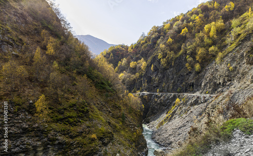 View of a mountainside overgrown with forest in Svaneti in the mountainous part of Georgia