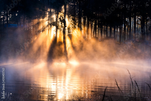 Sun rise at Pang-ung, Pine forest in Thailand © sittitap