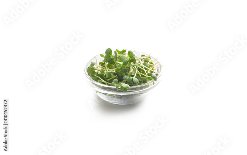 Healthy microgreens in glass plate isolated on white background