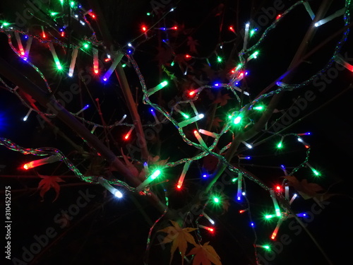 Brightly colored Christmas lights on a plant. Christmas concept.