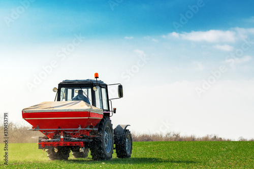 Agricultural tractor fertilizing wheat crop field with NPK