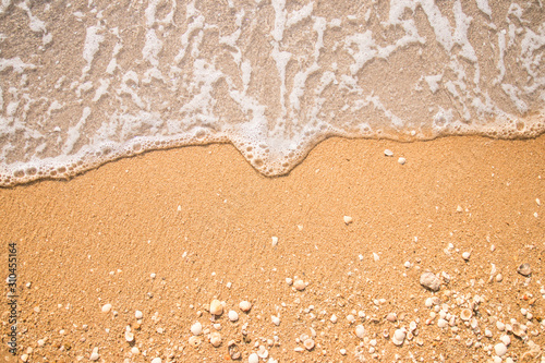 Soft wave of water on the beach. Lot of shells on the sandy