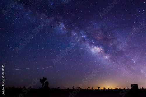 Milky way Joshua Tree national park