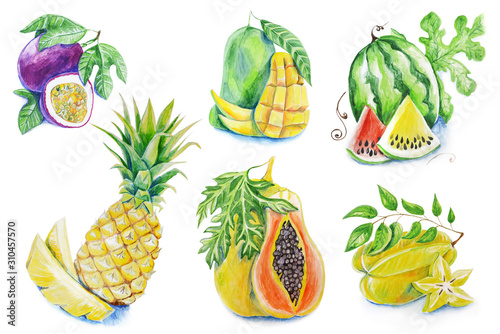 Watercolor Fruits © Tatiana