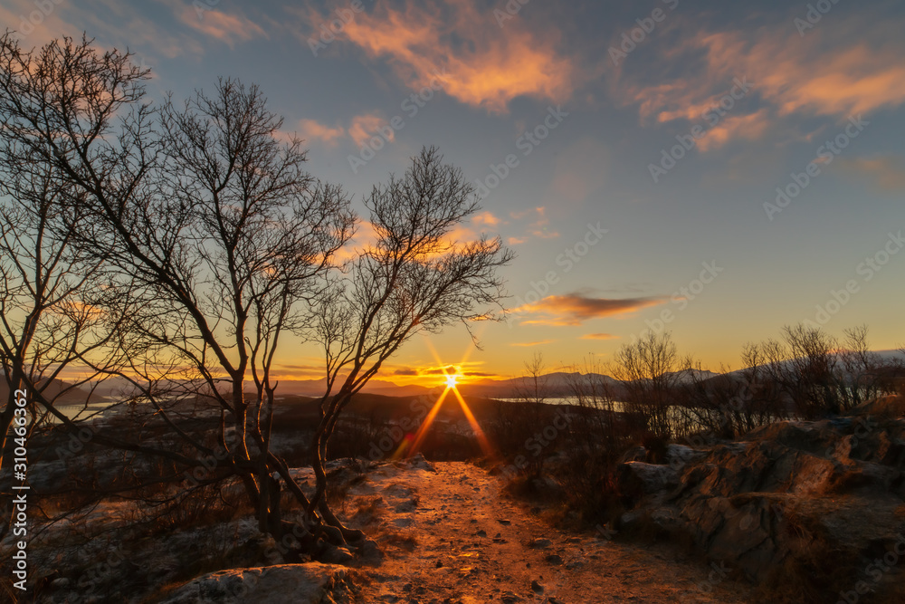 Sunset in Arctic Norway with warm orange colors. Blue sky with pink clouds, bare birch trees in the foreground and a gravel path leading towards the sun. Tromso, Norway.
