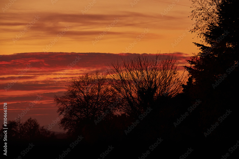 Fototapeta premium red sky with silhouetted forrest