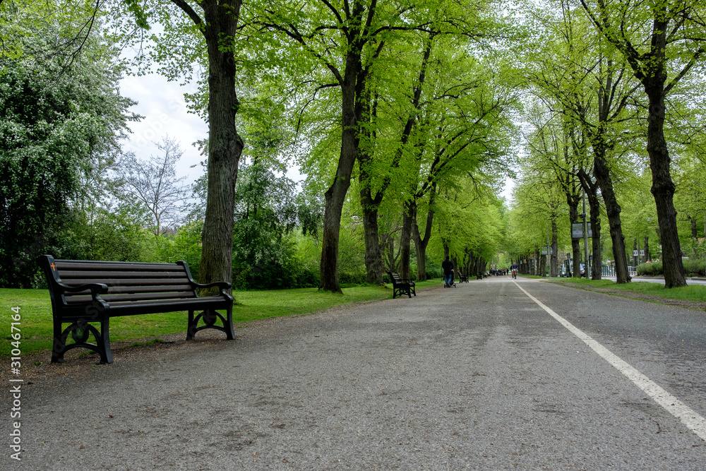 Park alley, trees and benches. People are walking. Spring, Stockholm, Sweden. Park alley, trees and benches. People are walking. Spring, Stockholm, Sweden.