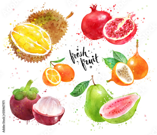 Watercolor set of exotic fruit
