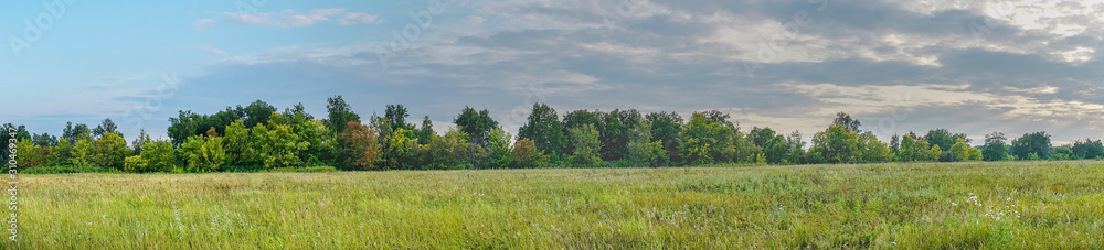 Panorama of a large green meadow on cloudy day