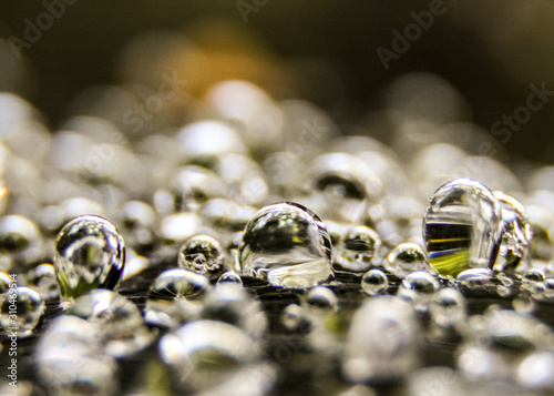 Bild auf Leinwand dew drops on web