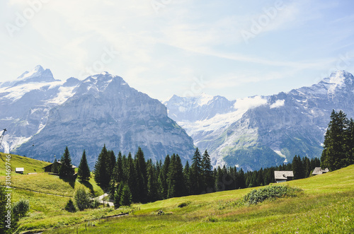 Summer Alpine landscape in Grindelwald area photographed on the trail leading from Grindelwald to Bachalpsee lake. Sun shining on the mountains in the background. Swiss Alps © ppohudka