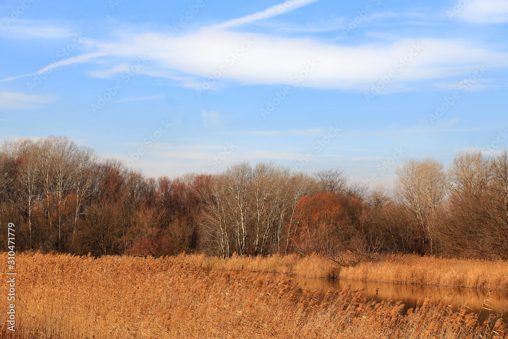 Pond in nature in autumn.