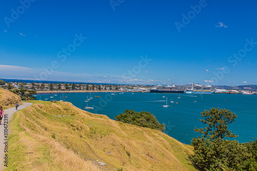 View on harbor and cruise ship terminal of Tauranga city on northern island of New Zealand in summer