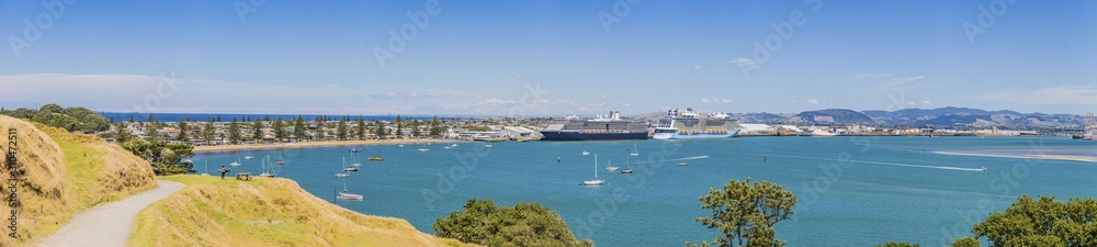 View on harbor and cruise ship terminal of Tauranga city on northern island of New Zealand in summer