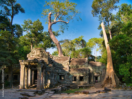 Temple ruins at Ta Prohm in the Angkor Archaeological Park at Siem Reap in Cambodia.