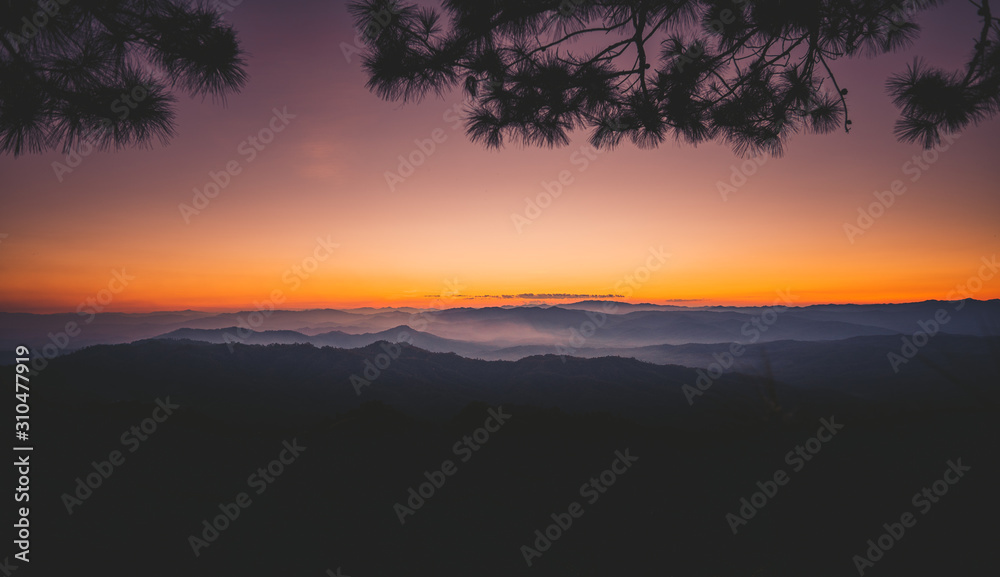 Fototapeta premium sunset and twilight light in the forest on the mountain
