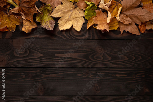 Autumn leaves over dark wooden background with copy space