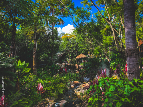 Colourful tropical garden