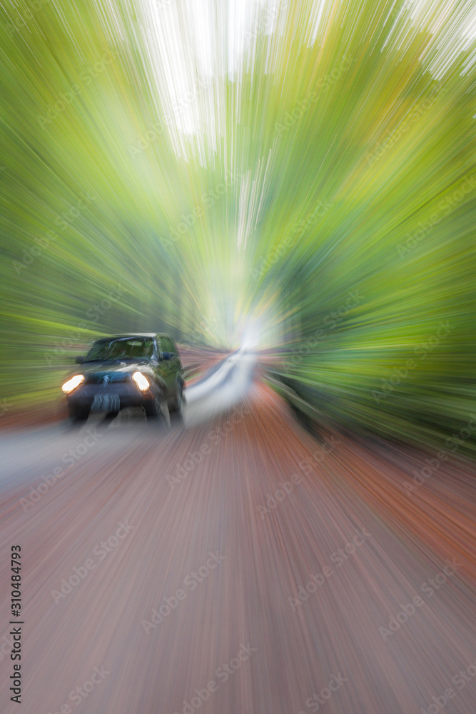 A car riding on a road in a summer beech forest. Abstract photo