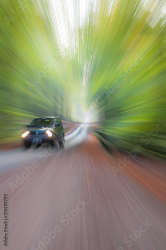 A car riding on a road in a summer beech forest. Abstract photo