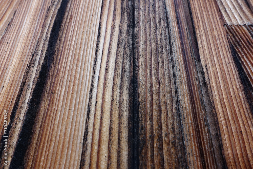 Fototapeta premium wood texture background