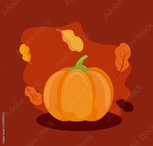Pumpkin of autumn season vector design