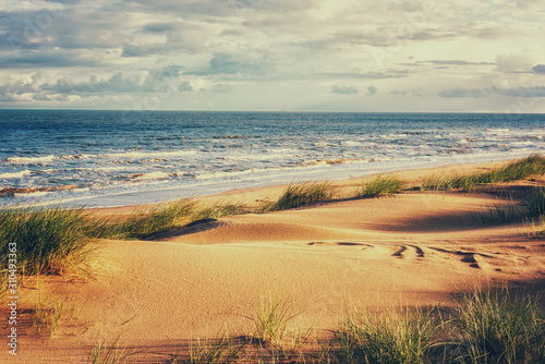 Amazing seascape in soft sunset light with sand dunes, green grass, waves of the sea and blue sky with clouds. Outdoor travel background, Northern sea, Netherlands, vintage style image