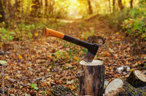 Firewood, sharp ax sticking out in a log, nature, forest, autumn, grass sunny day, close-up.