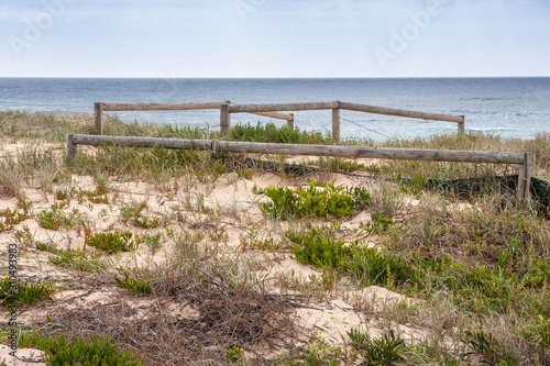 Newcastle, Australia - December 10, 2009: Sandy dunes with some green weeds and dry wooden tree beams in front of blue-gray South Pacific Ocean under light blue sky.