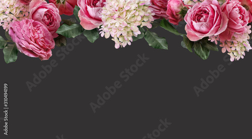 Pink roses and white hydrangea isolated on dark background. Floral banner, cover header with copy space. Natural flowers wallpaper or greeting card. © RinaM