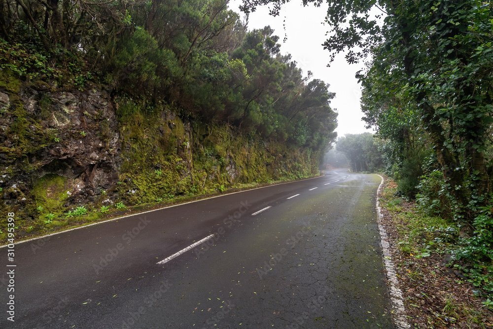Empty road surrounded by rocks and trees. Cloudy and foggy weather. Tenerife, Anaga