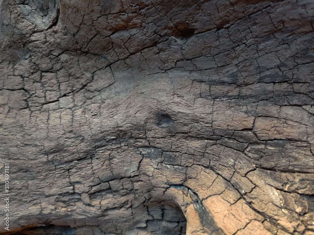 Obraz premium driftwood wood old aged