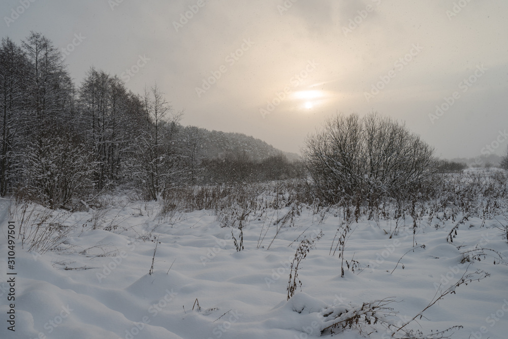 Photography of the beauty of nature within winter in Russia. Trees are standing in hoarfrost. The texture of white snow and green needles. Concepts of Russian extreme tourism. Photography of the beauty of nature within winter in Russia. Trees are standing in hoarfrost. The texture of white snow and green needles. Concepts of Russian extreme tourism.