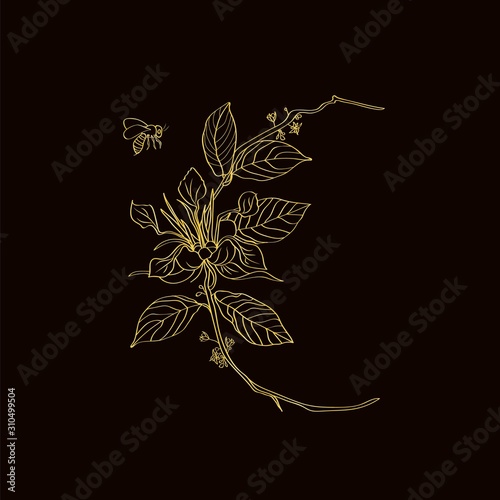 Decorative cocoa branch in golden outline vector and a little bee flies nearby. Clipart for embroidery or for printing on invitations and greeting cards and labels