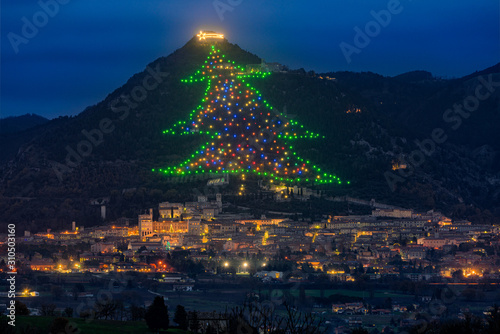 The famous Gubbio Christmas Tree, the biggest Christmas Tree in the world. Province of Perugia, Umbria, Italy.