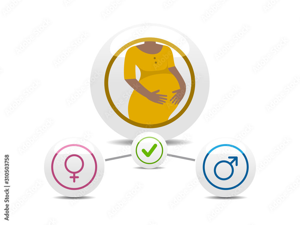 Afro american pregnancy woman. Infographics with boy or girl. Vector illustration Afro american pregnancy woman. Infographics with boy or girl. Vector illustration