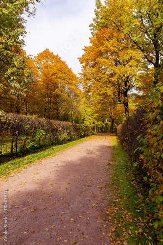 Autumn landscape. Golden autumn in the old Park. The landscape design has statues and pavilions. Kuskovo, Moscow, Russia.