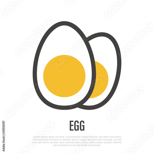 Photos Two hard-boiled eggs thin line icon