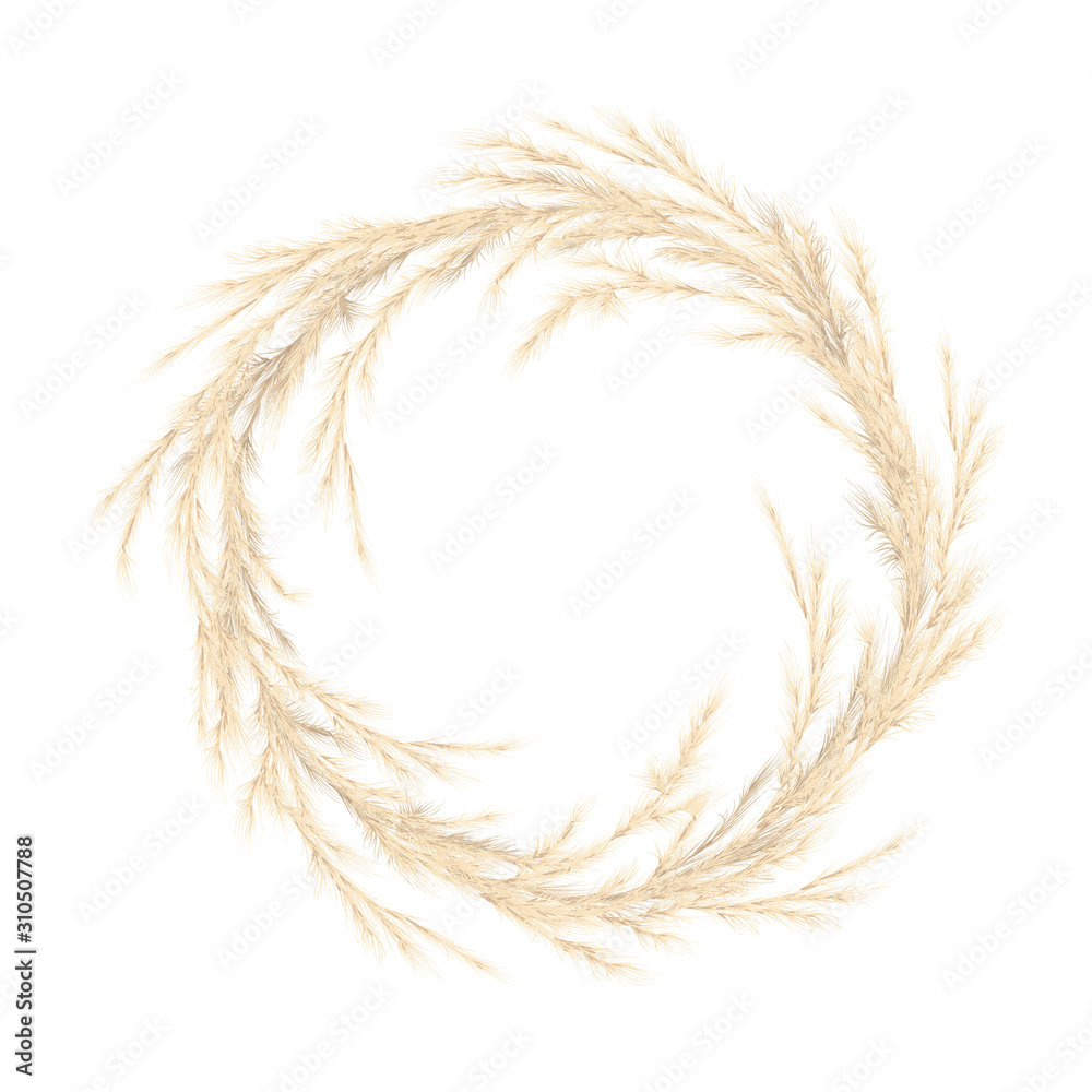 Pampas Grass Golden Vector Illustration Panicle Cortaderia Selloana South  America Floral Ornamental Grass Feathery Flower Head Plumes Used In Flower  Arrangements Ornamental Displays Decoration Stock Illustration - Download  Image Now - iStock