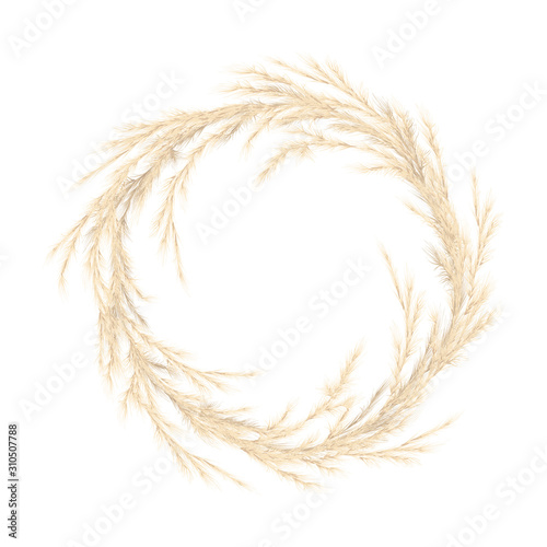 Pampas grass golden wreath. Vector illustration. panicle Cortaderia selloana South America. festive decoration template.